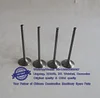 Xinchai Diesel Engine 490 Intake Valve 490B-03015