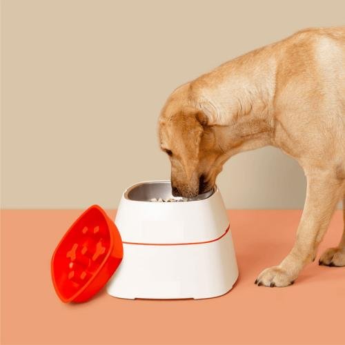 Multi-function Elevated Dog Bowl
