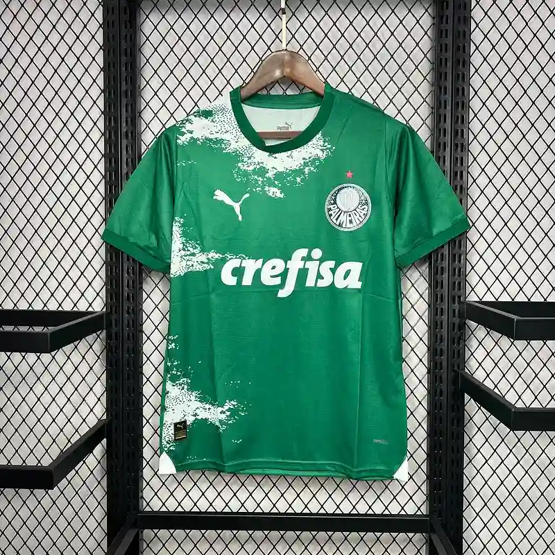 24/25 Palmeiras Special Edition Green and White Soccer Jersey