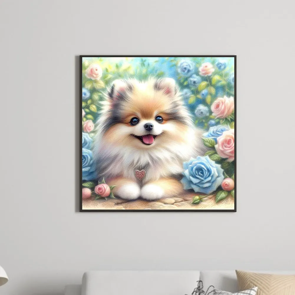 Diamond Painting - Full Round Drill - Rose Pomeranian(Canvas|30*30cm)