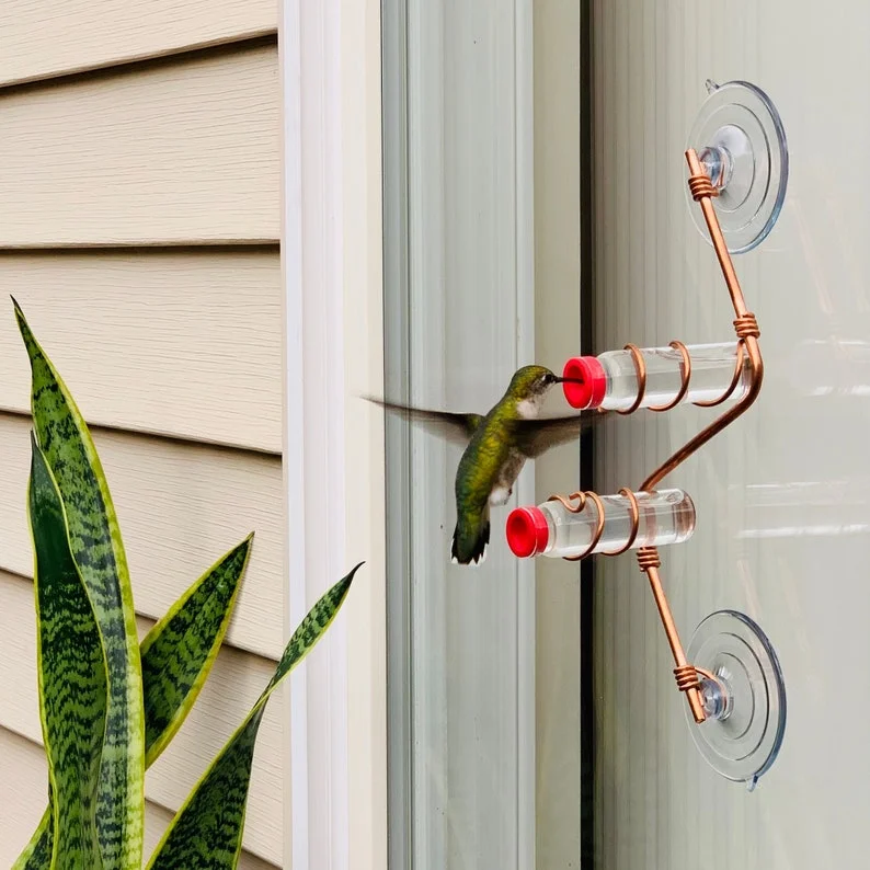 Classic Window Hummingbird Feeder-With anti-ant device