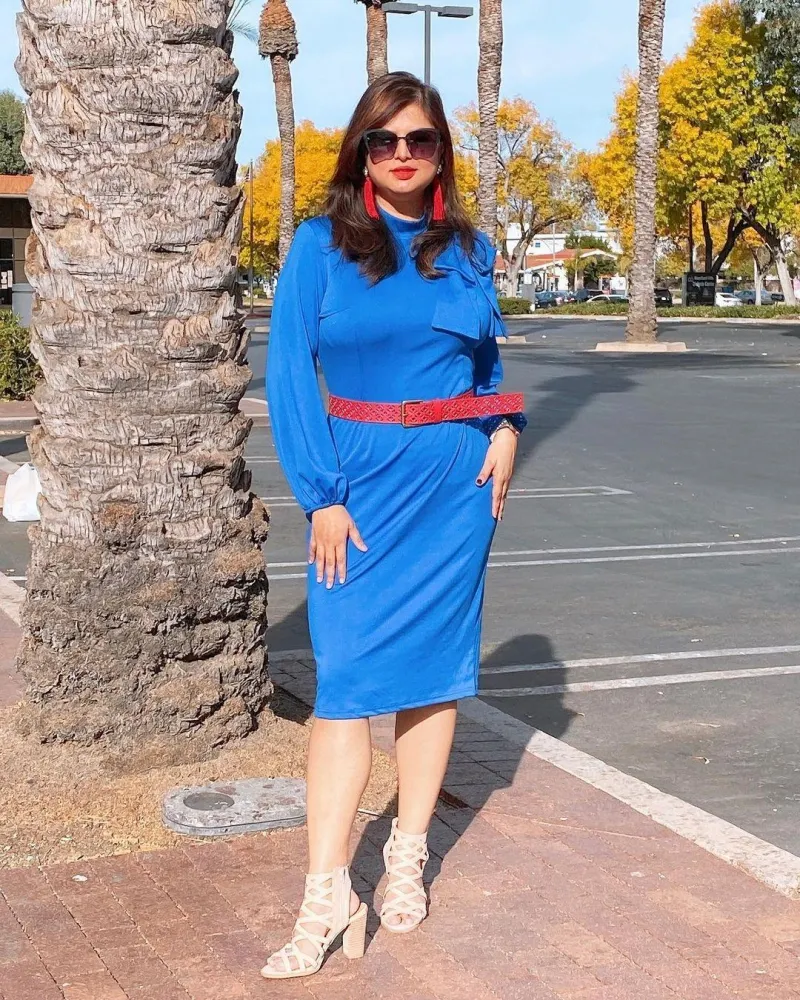 Bowknot Neck Lantern Sleeve Sheath Dress