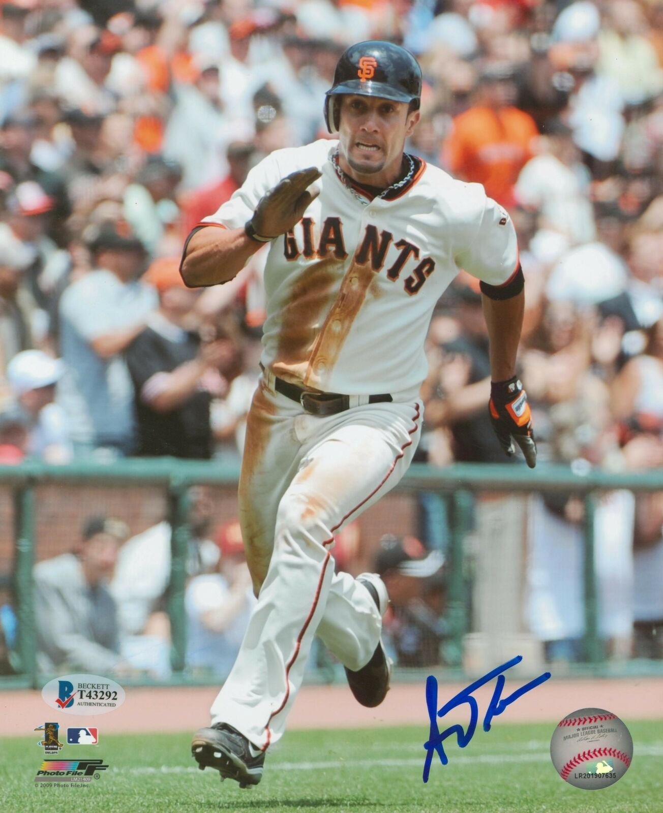 Giants Andres Torres Authentic Signed 8x10 Photo Poster painting Autographed BAS #T43292