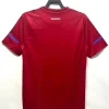 Retro 2010 Serbia Soccer Jersey Home