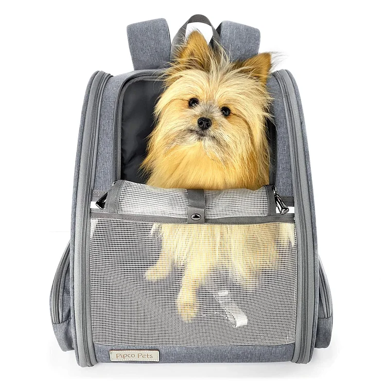  Pet Backpack Carrier