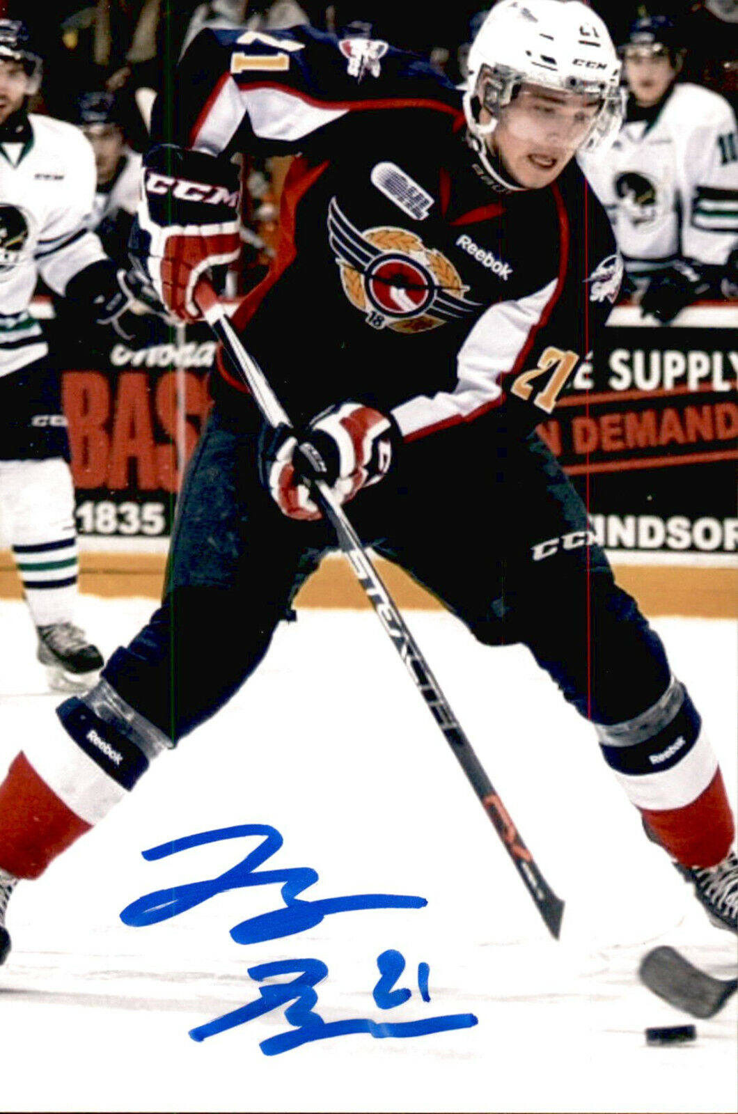 Logan Brown SIGNED 4x6 Photo Poster painting WINDSOR SPITFIRES / OTTAWA SENATORS #2