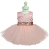 Kids Clothes Princess Girl Cute Lace Events Party Dress - honeylives