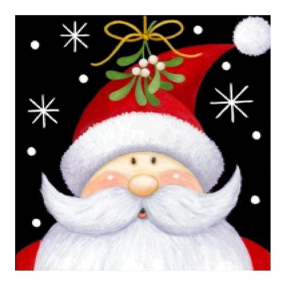 Full Round Diamond Painting Santa Claus (25*25cm)