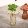 Vases en verre transparent Cactus et champignons