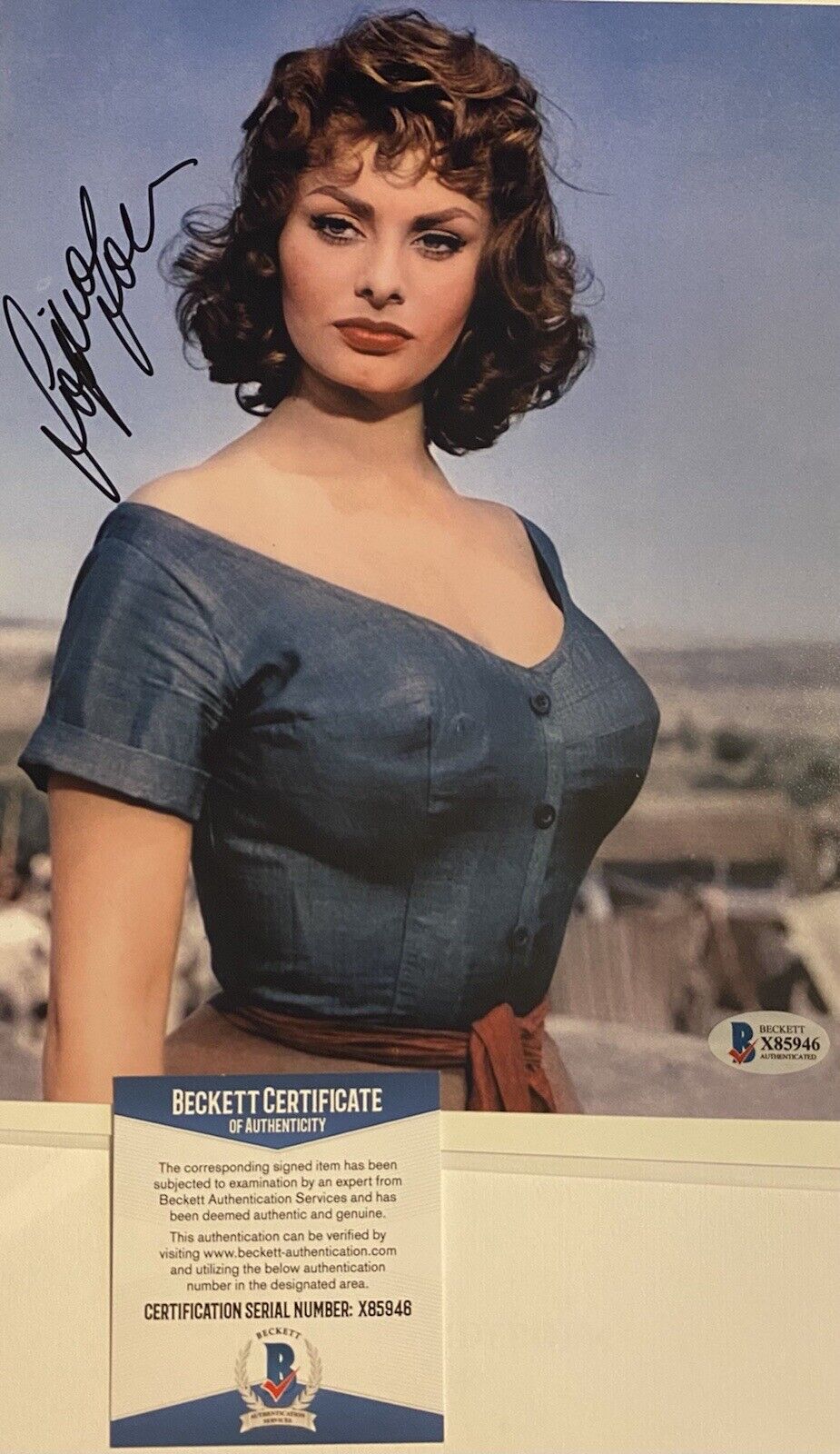 Sophia Loren signed Autographed 8x10 Color Photo Poster painting Sexy Beckett Authenticated