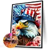 Diamond Painting-DIY Full Round Drill Eagle and Flag