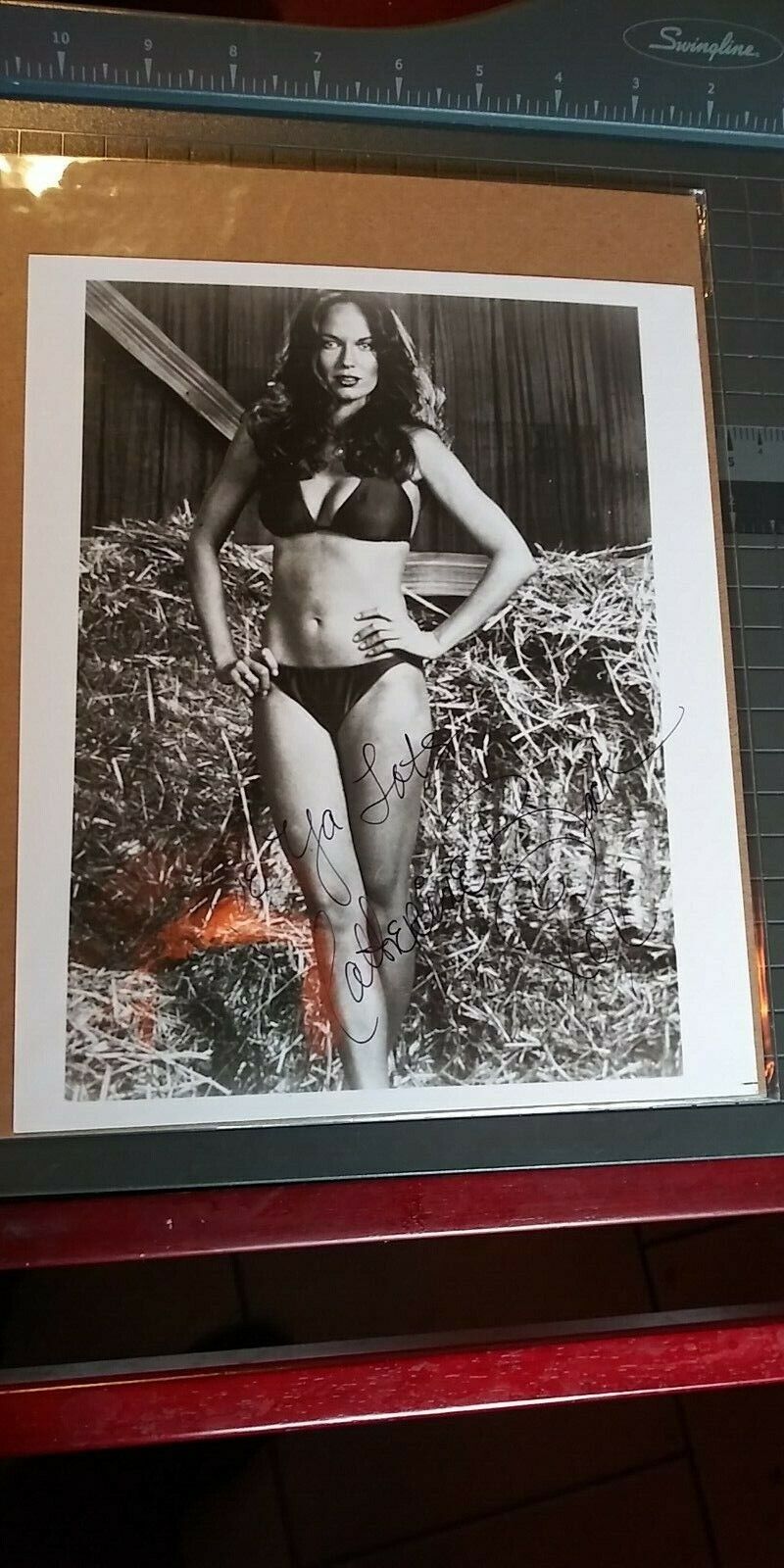 Catherine Bach signed 8x10