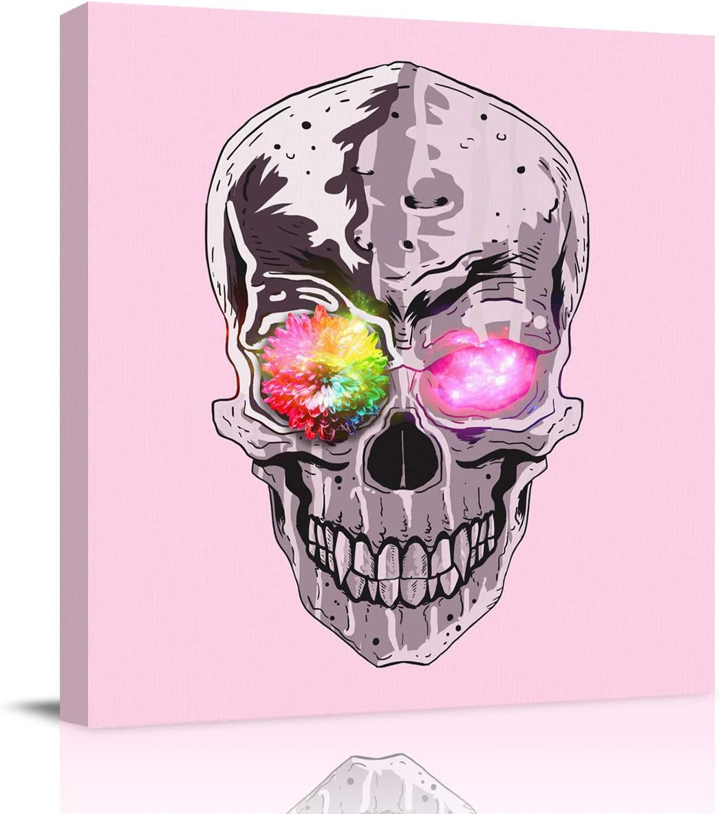 Home Decor Canvas Wall Art Bedroom Art Painting for Living Room,Cool Skull with Colorfull Eyes Office Art Pictures Framed Artwork Art Wall Prints,28x28in 28 x 28 Inch