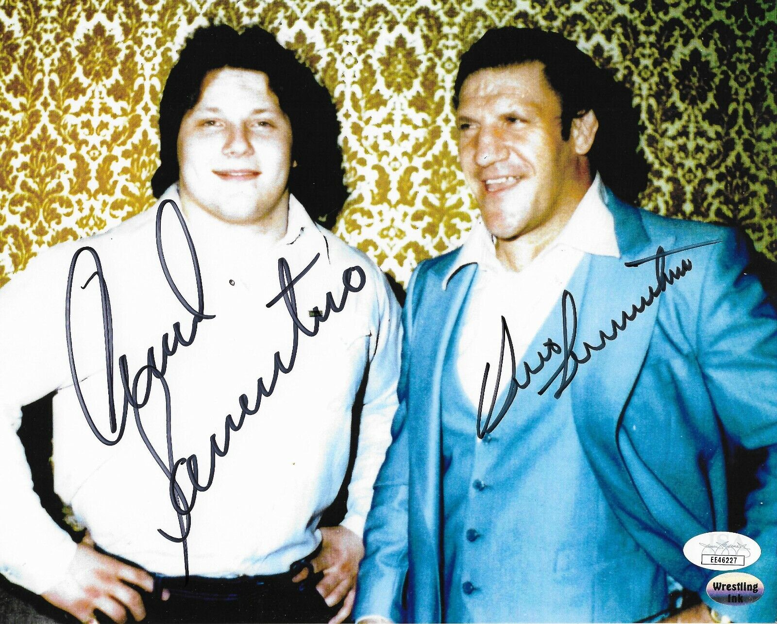 BRUNO SAMMARTINO & DAVID SAMMARTINO WWF WWE SIGNED AUTOGRAPH 8X10 Photo Poster painting JSA COA