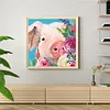uk.everydayedeals (Limited Stock)Paint By Number - Oil Painting -  Pig (40*40Cm)