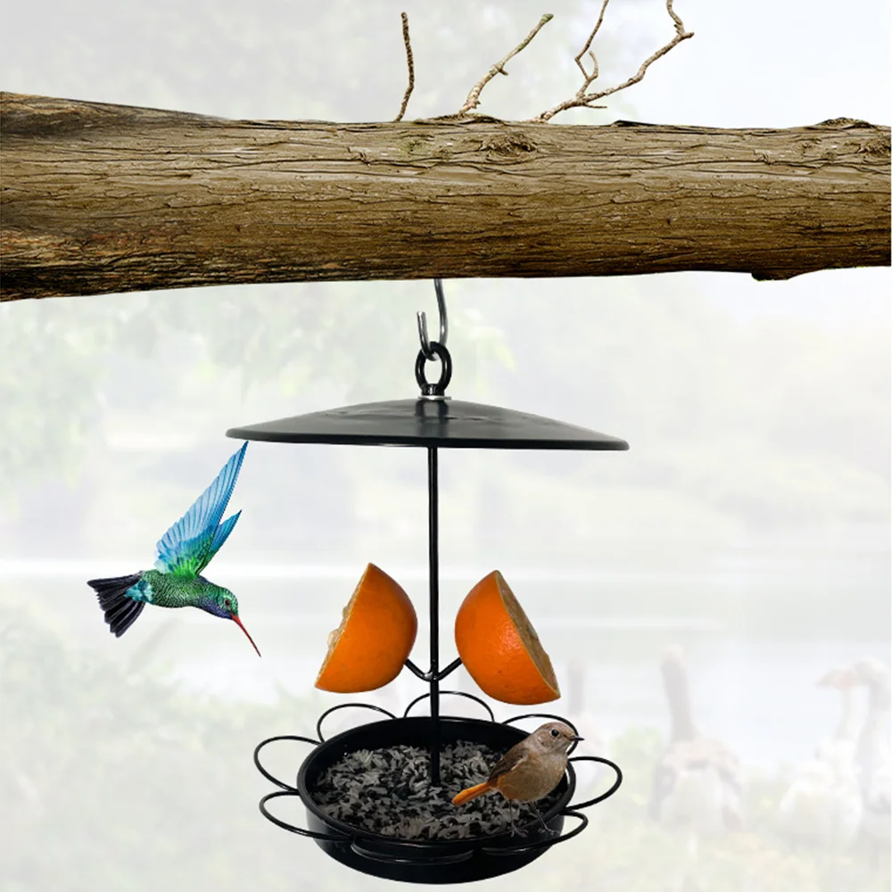 Small rainproof wrought iron bird feeder with fruit inserted outdoors