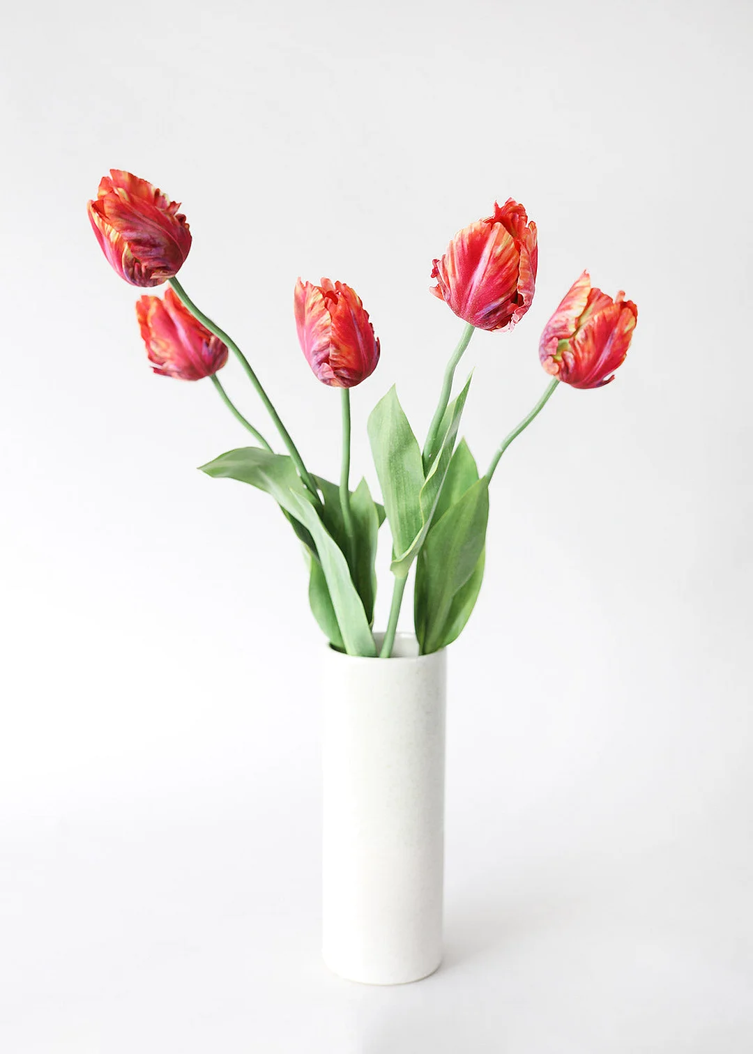 Tie Dye Red Artificial Parrot Tulip - 25"