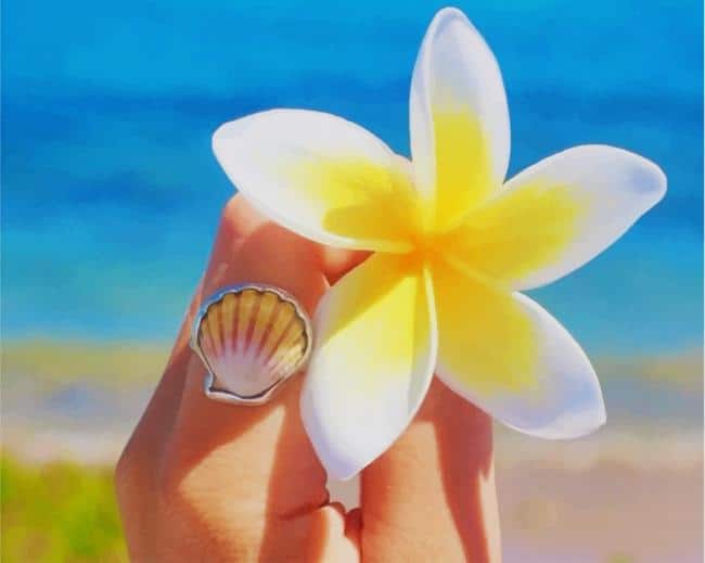 

White And Yellow Frangipani Flower – Paint By Numbers - 40*50CM, 501 Original