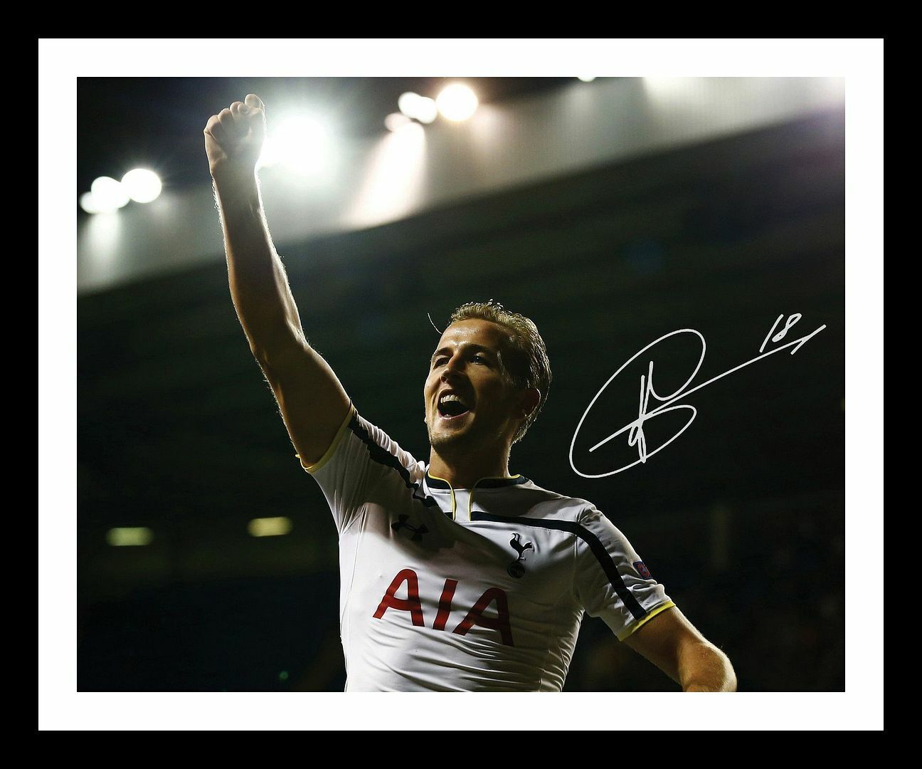 Harry Kane - Tottenham Hotspur Autograph Signed & Framed Photo Poster painting 2