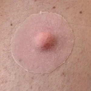 pornhint Pornhint Silicone prosthetic nipple Toy