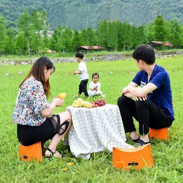 Portable Folding Stool