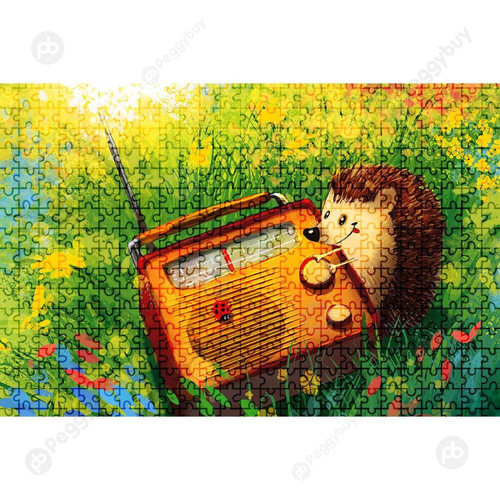 

1000 Pieces DIY Radio Hedgehog Puzzle Educational Learning Assembling Toys, 501 Original