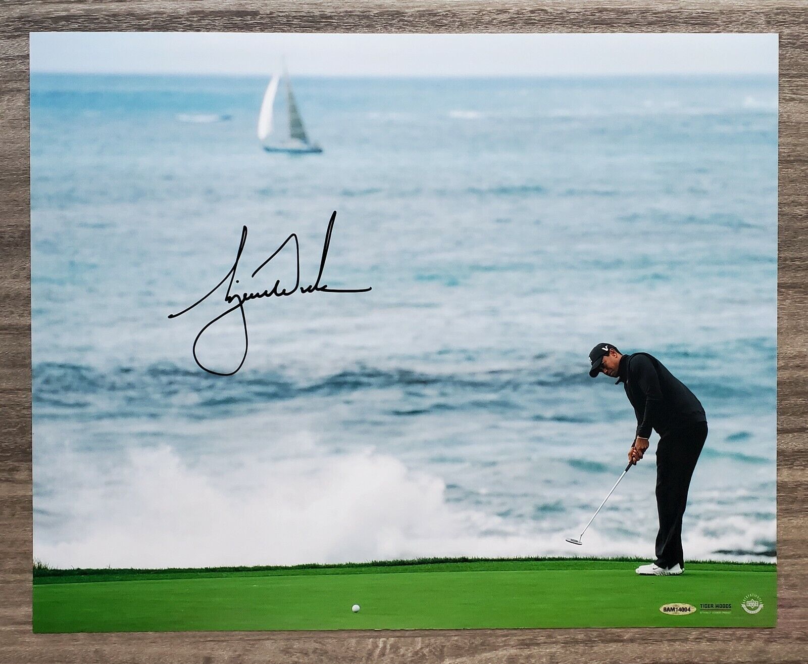 Tiger Woods Signed Crashing Waves 16x20 Photo Poster painting Pebble Beach Upper Deck COA