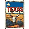 TEXAS - Metal Tin Signs(8*12Inch/12*16Inch)