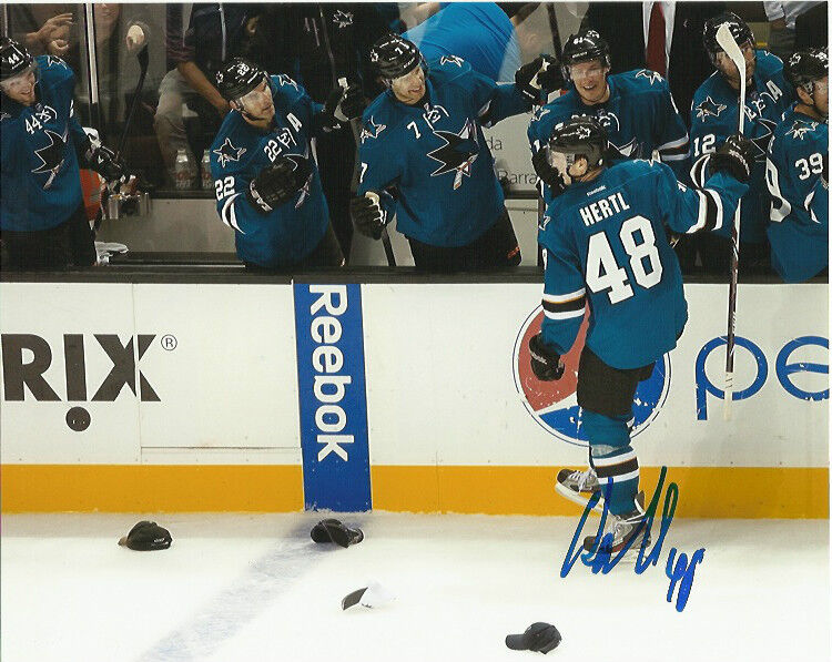 San Jose Sharks Tomas Hertl Autographed Signed 8x10 Photo Poster painting COA