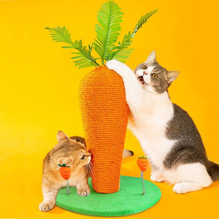 Carrot Cat Scratch Post 1
