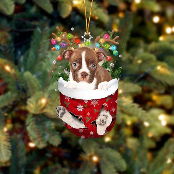 Boston Terrier 2 In Snow Pocket Christmas Ornament.