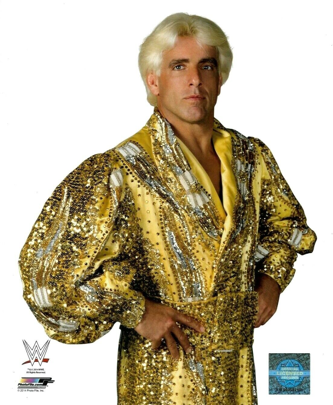 WWE RIC FLAIR OFFICIAL LICENSED ORIGINAL 8X10 WRESTLING Photo Poster painting FILE Photo Poster painting 7