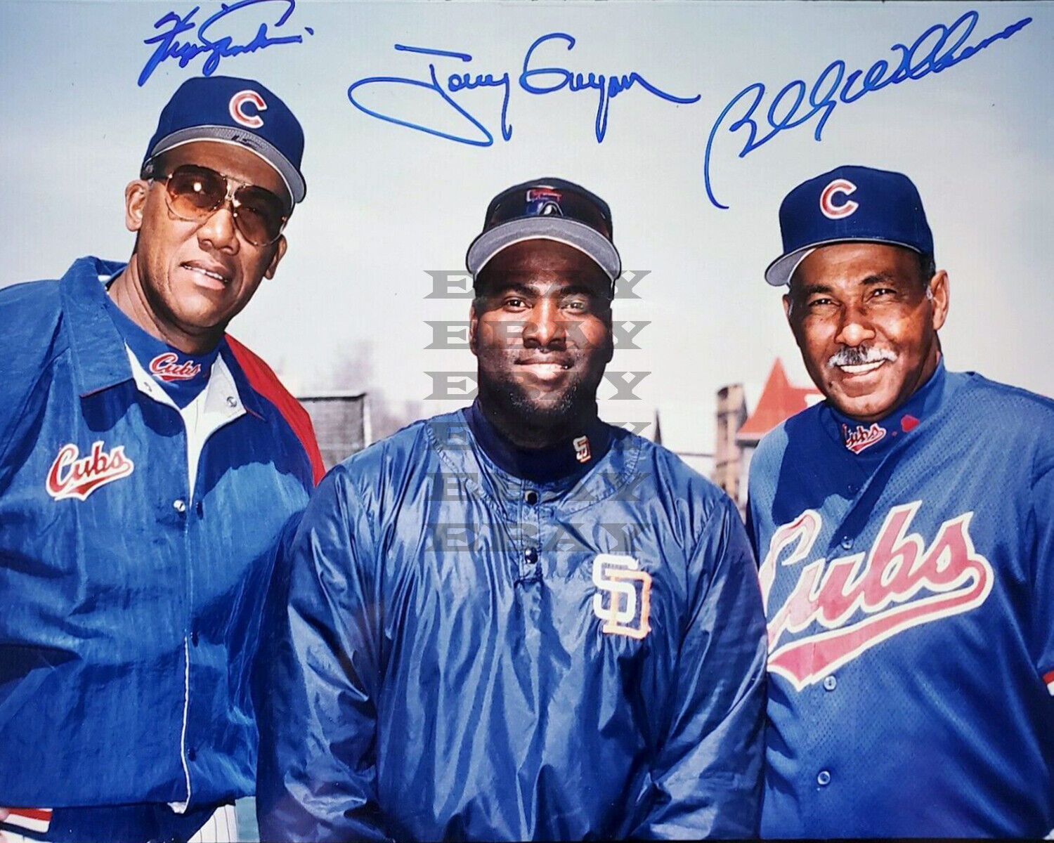 Fergie Jenkins Tony Gwynn Billy Williams CUBS 8x10 autographed Photo Poster painting Reprint