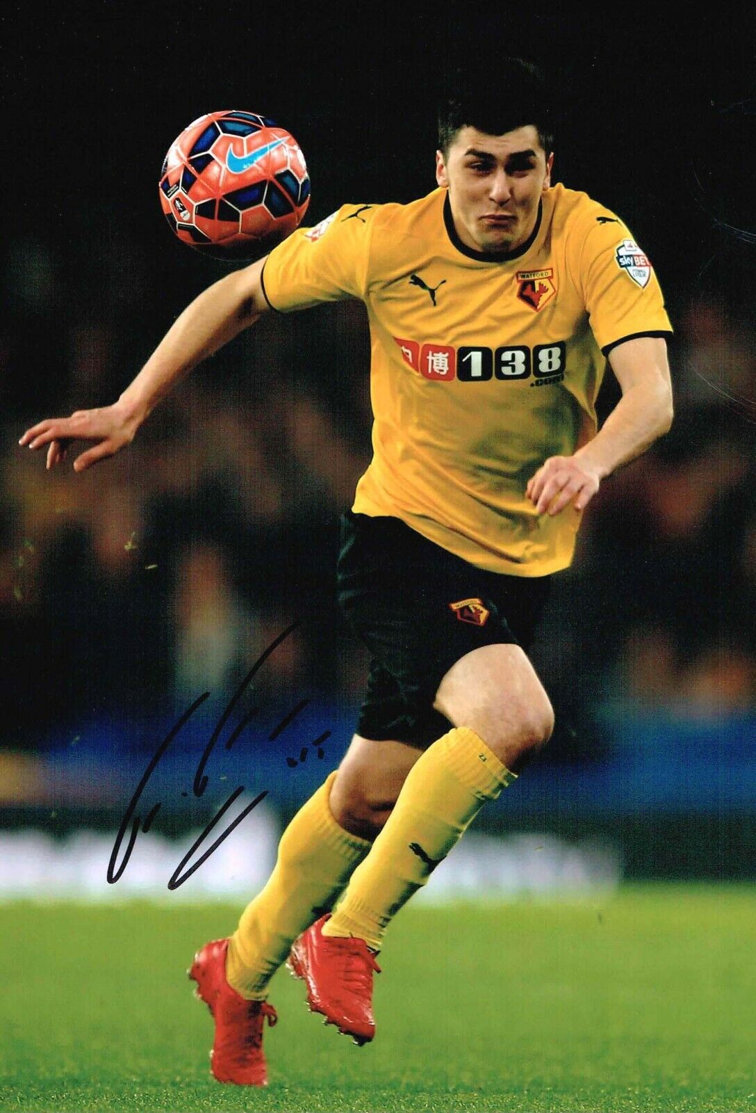 Fernando FORESTIERI SIGNED Watford FC Autograph 12x8 Photo Poster painting AFTALRD COA