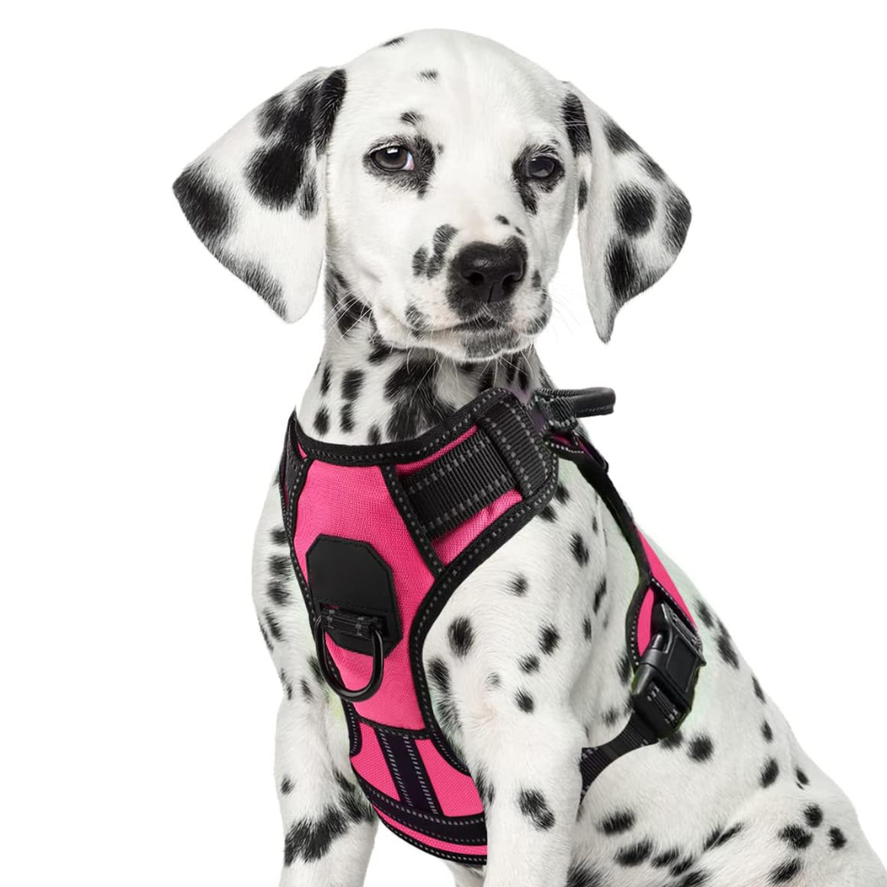Adjustable Soft Padded Dog Vest