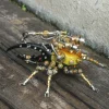 3D Mechanical Mutation Insect Model DIY Handmade Ornaments Insect Model Set