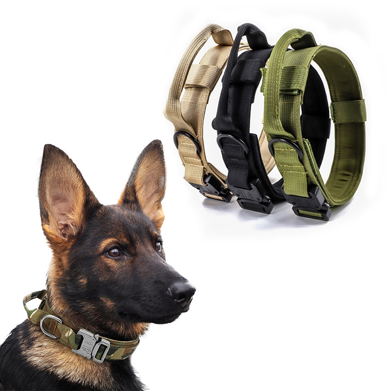 German Shepherd Dog Collar With Handle And Name Tactical Dog