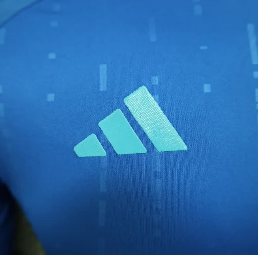 2024 Argentina Away Player Version Football T-Shirt Thai Quality