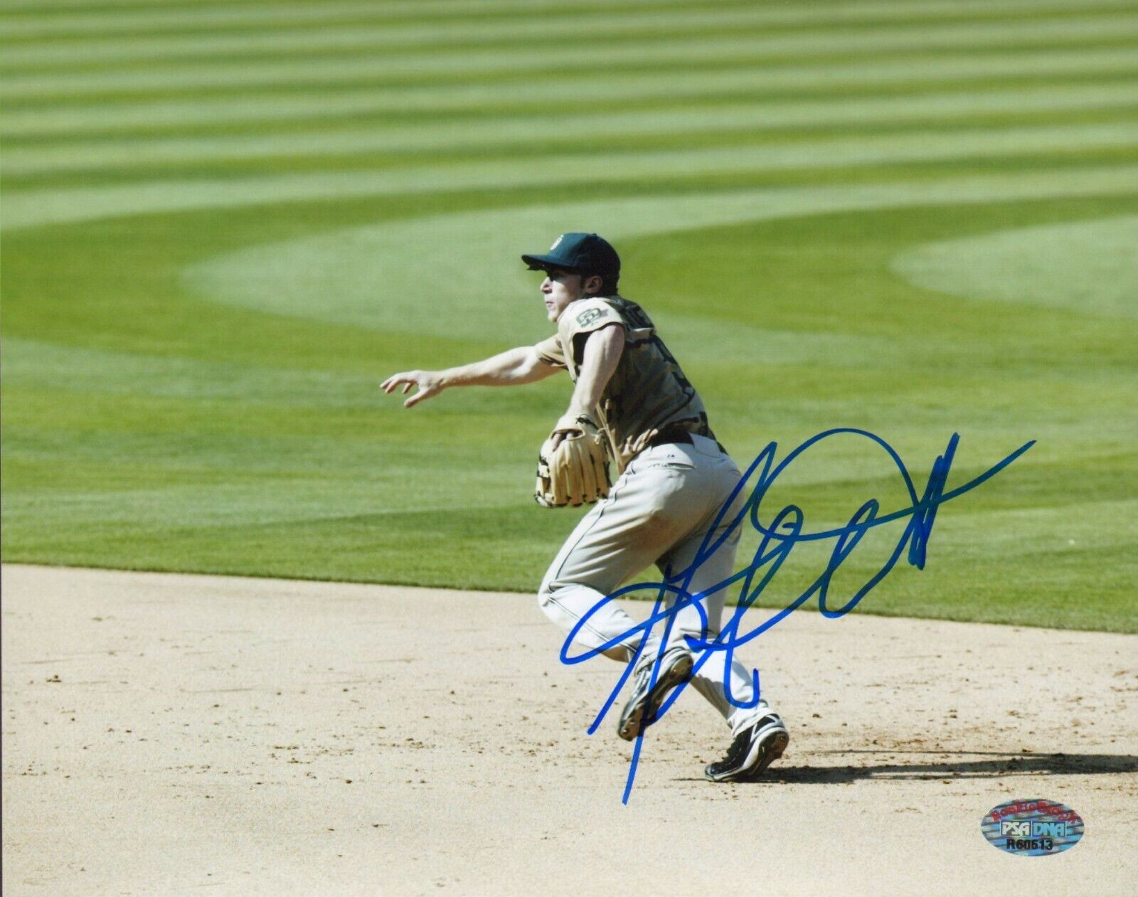 Matt Antonelli Signed 8x10 Photo Poster painting PSA/DNA COA Padres Baseball Picture Autograph 3