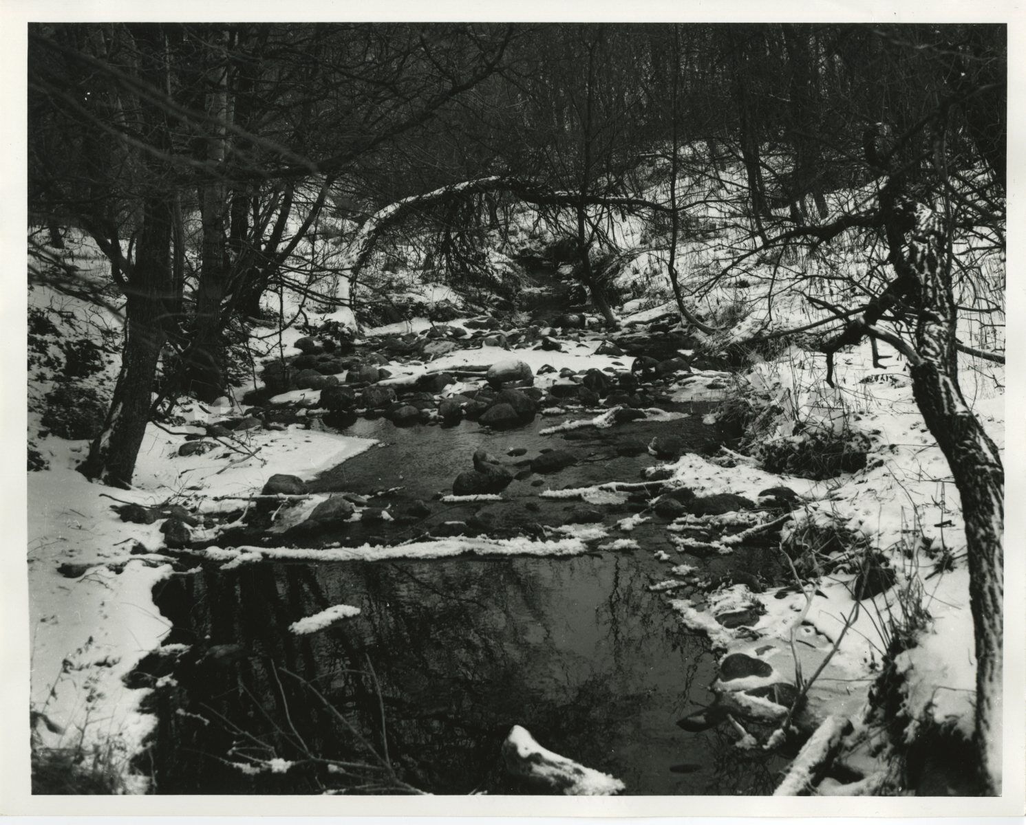 South Dakota History - Vintage 8x10 Publication Photo Poster painting - Sica Hollow State Park