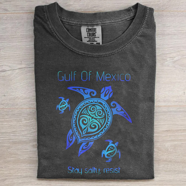Comfort Colors Gulf of Mexico T-shirt/Sweatshirt