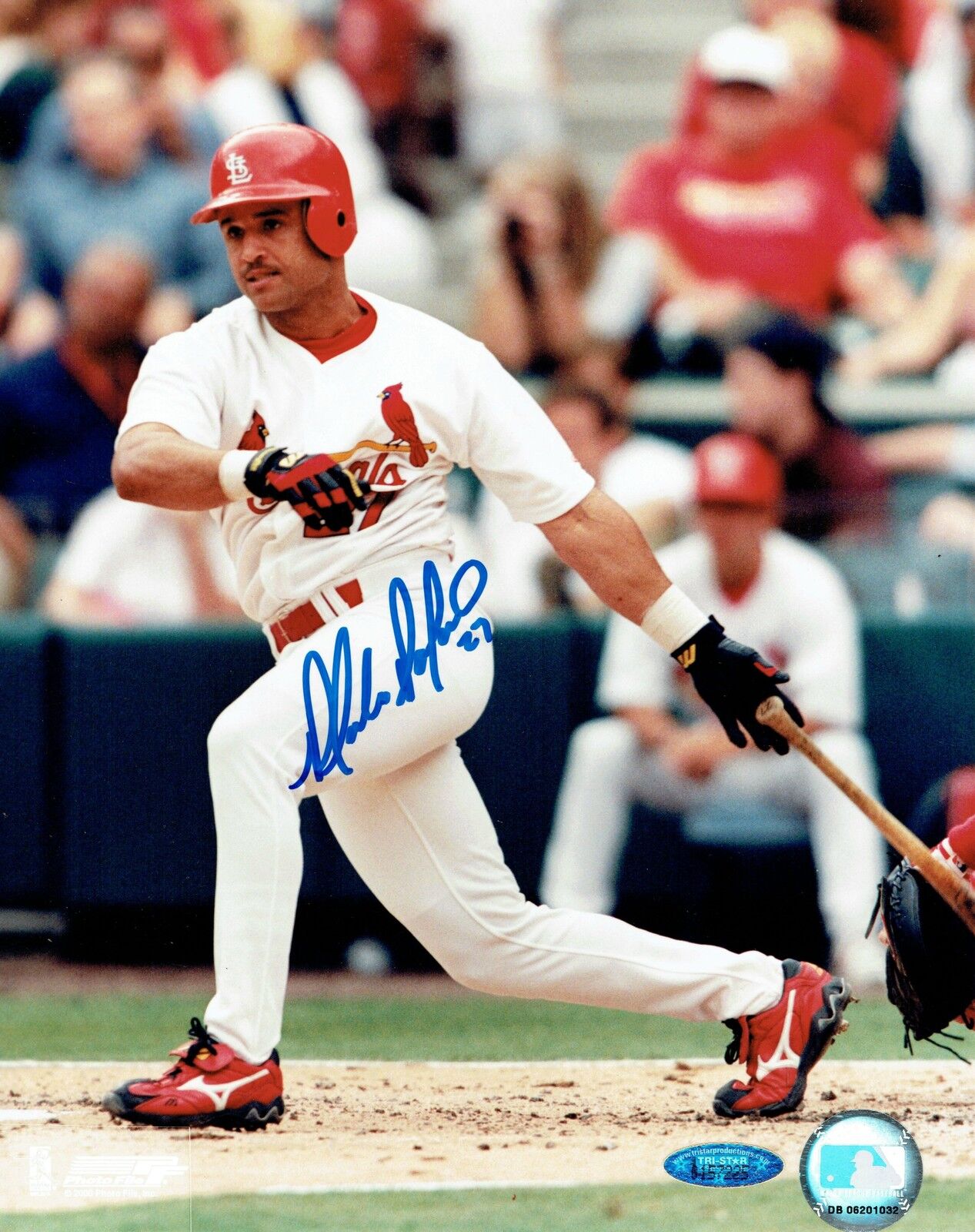 Placido Polanco Signed St. Louis Cardinals Autographed 8x10 Photo Poster painting TRISTAR