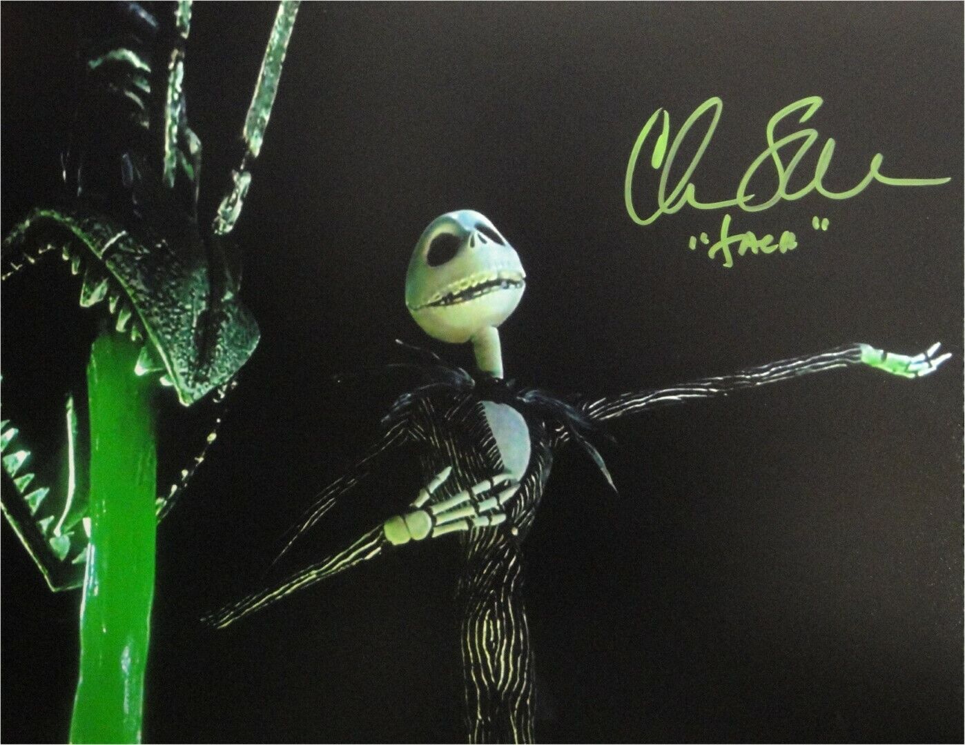 Chris Sarandon Hand Signed Auto 11x14 Photo Poster painting Jack Nightmare Before Christmas