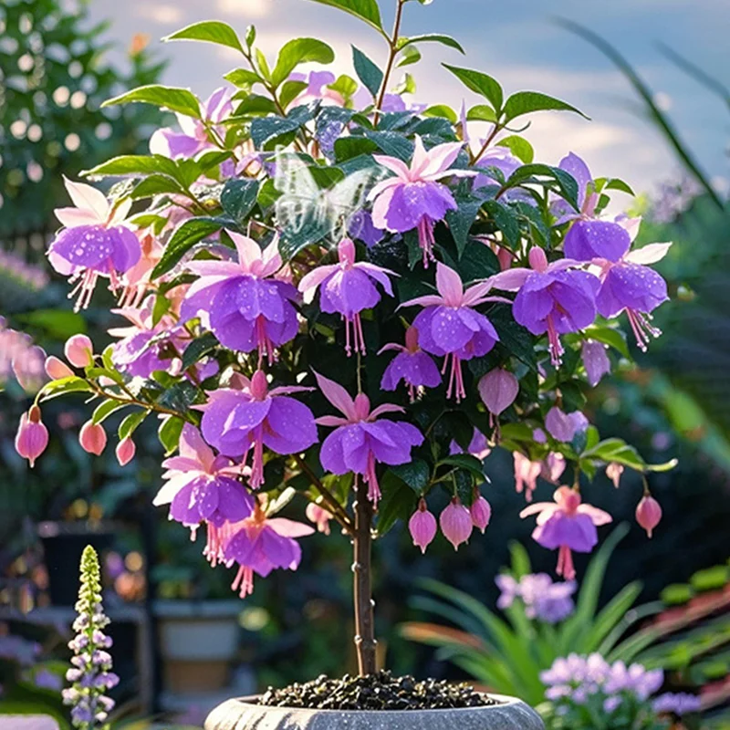 Purple-🔔Double Fuchsia Bulbs