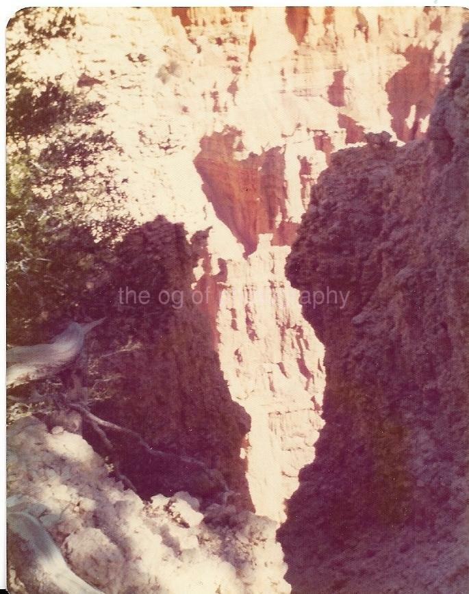 American Landscape FOUND Photo Poster painting Color BRYCE CANYON UTAH VINTAGE JD 14 12 G