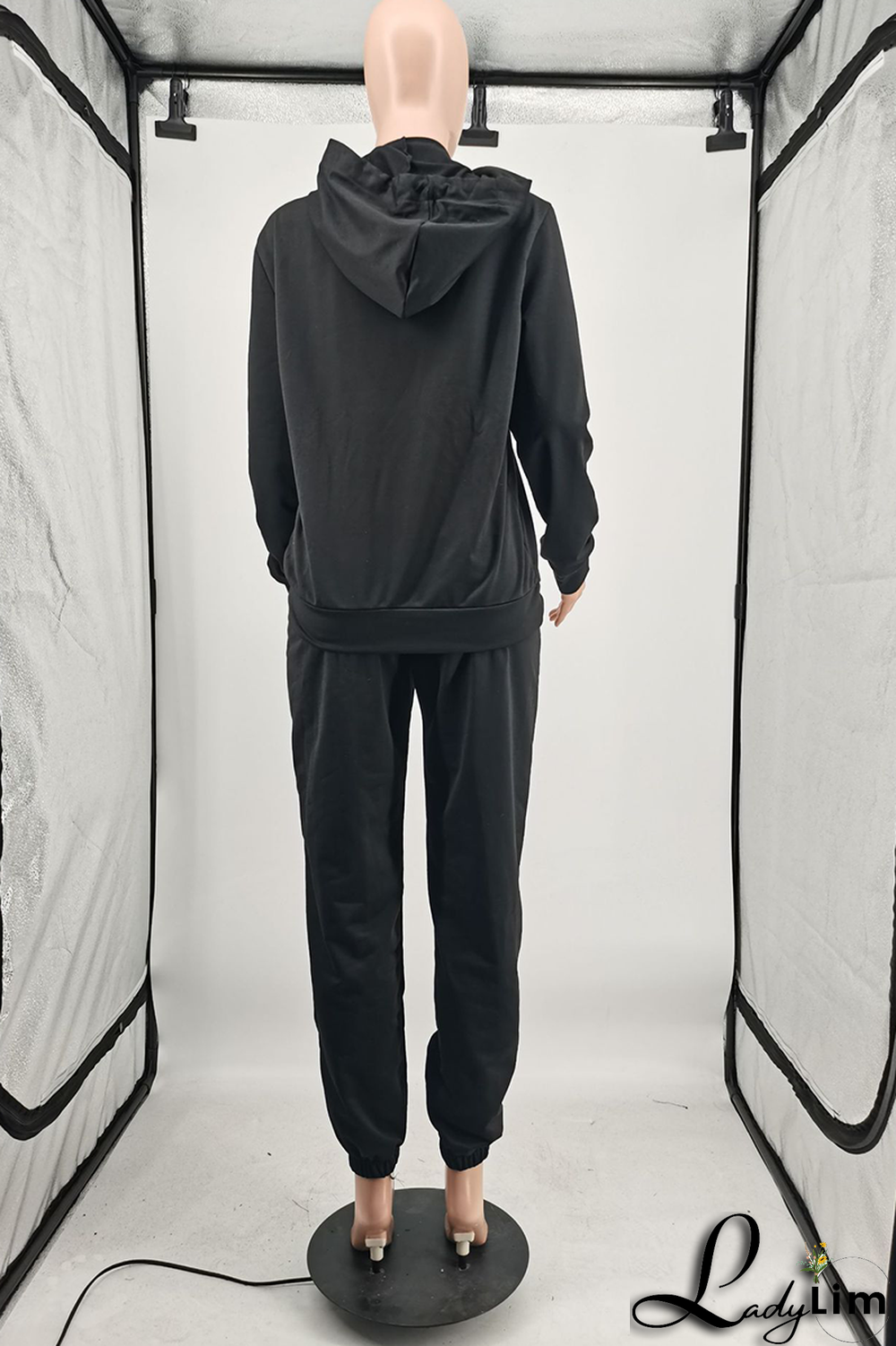 Blue Casual Solid Split Joint Hooded Collar Long Sleeve Two Pieces