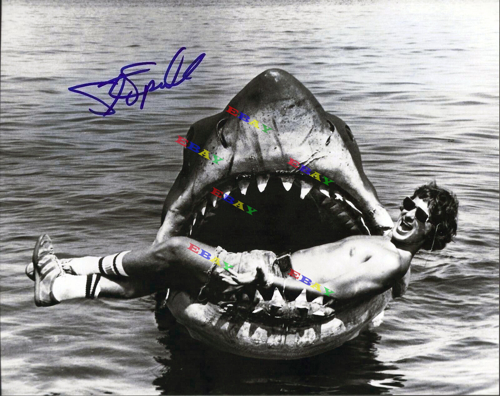 STEVEN SPIELBERG Jaws Autographed Signed Photo Poster painting Reprint