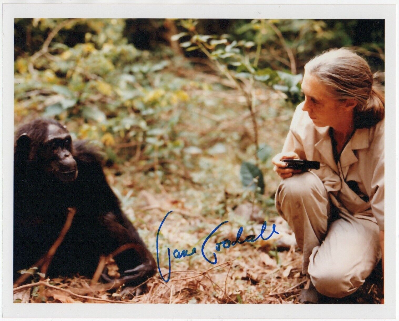 JANE GOODALL signed Chimp 8x10 Photo Poster painting AUTOGRAPH auto BAS Beckett Nature legend