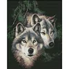 11CT Counted/Stamped Wolf - Cross Stitch 40*50cm