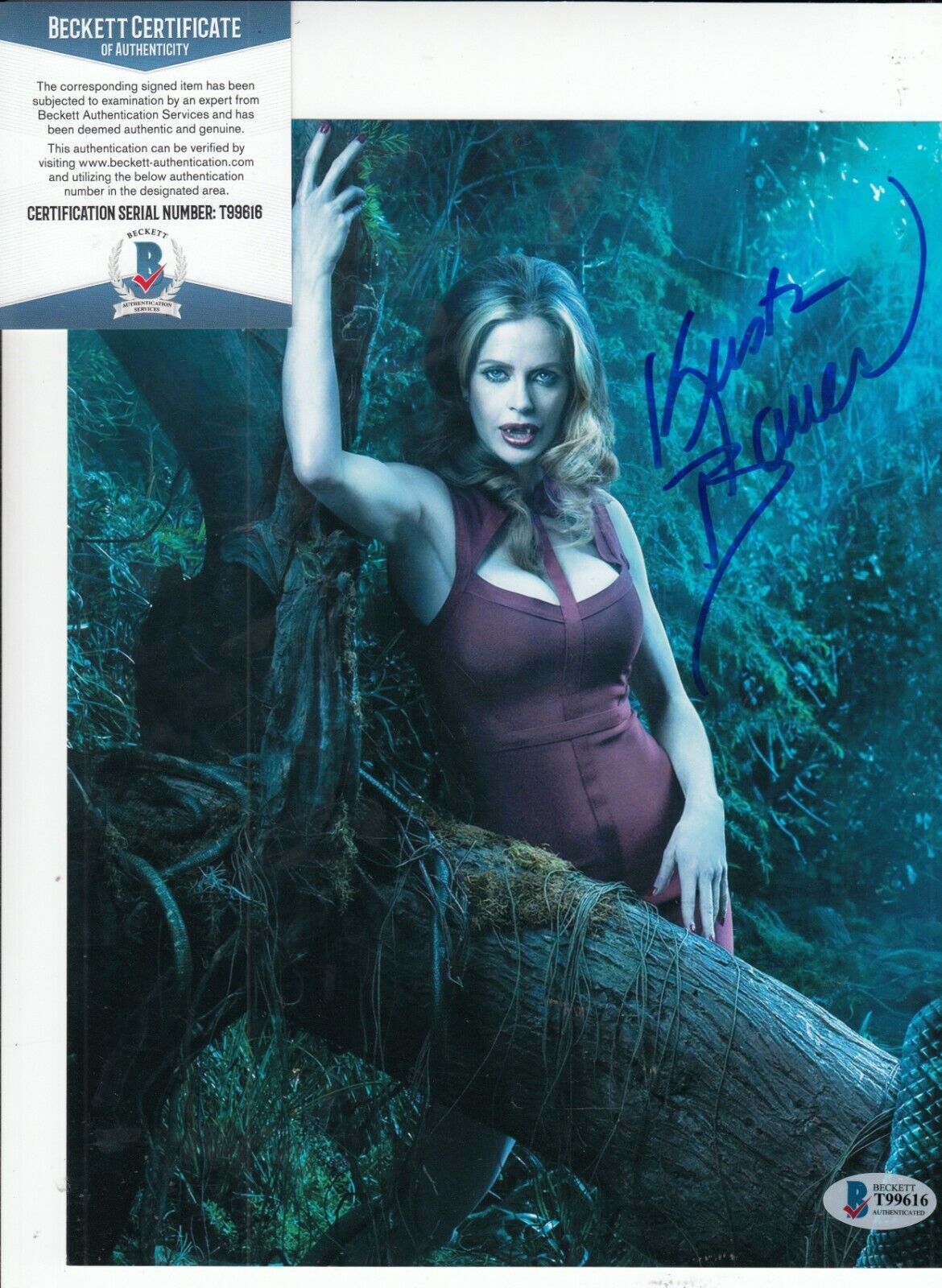 KRISTIN BAUER VAN STRATEN signed (TRUE BLOOD) 8X10 Photo Poster painting BECKETT BAS T99616